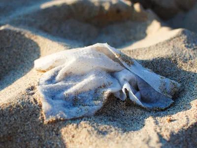 无纺布不是布? 环保袋也是塑料制成的? 第9张 无纺布不是布? 环保袋也是塑料制成的? 第9张