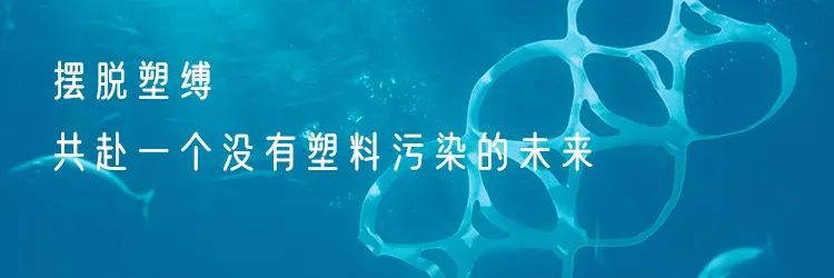 无纺布不是布? 环保袋也是塑料制成的? 第1张 无纺布不是布? 环保袋也是塑料制成的? 第1张
