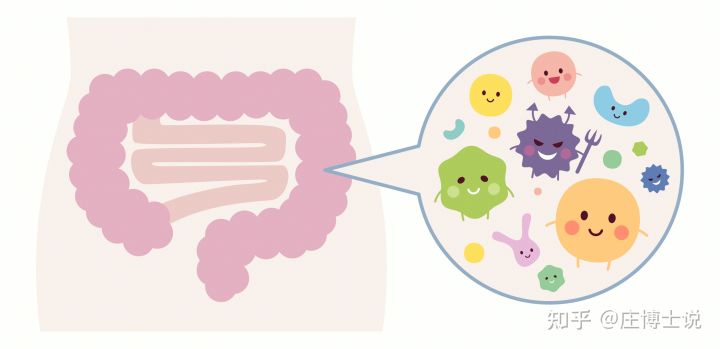 超市的免费塑料袋,别再带回家用了…… 第22张 超市的免费塑料袋,别再带回家用了…… 第22张