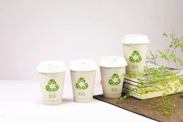 【7月PACKCON纸制品包装】限塑令升级!“以纸代塑”或将成包装界新风尚 第19张 【7月PACKCON纸制品包装】限塑令升级!“以纸代塑”或将成包装界新风尚 第19张