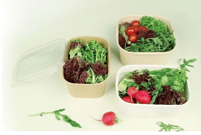 【7月PACKCON纸制品包装】限塑令升级!“以纸代塑”或将成包装界新风尚 第48张 【7月PACKCON纸制品包装】限塑令升级!“以纸代塑”或将成包装界新风尚 第48张