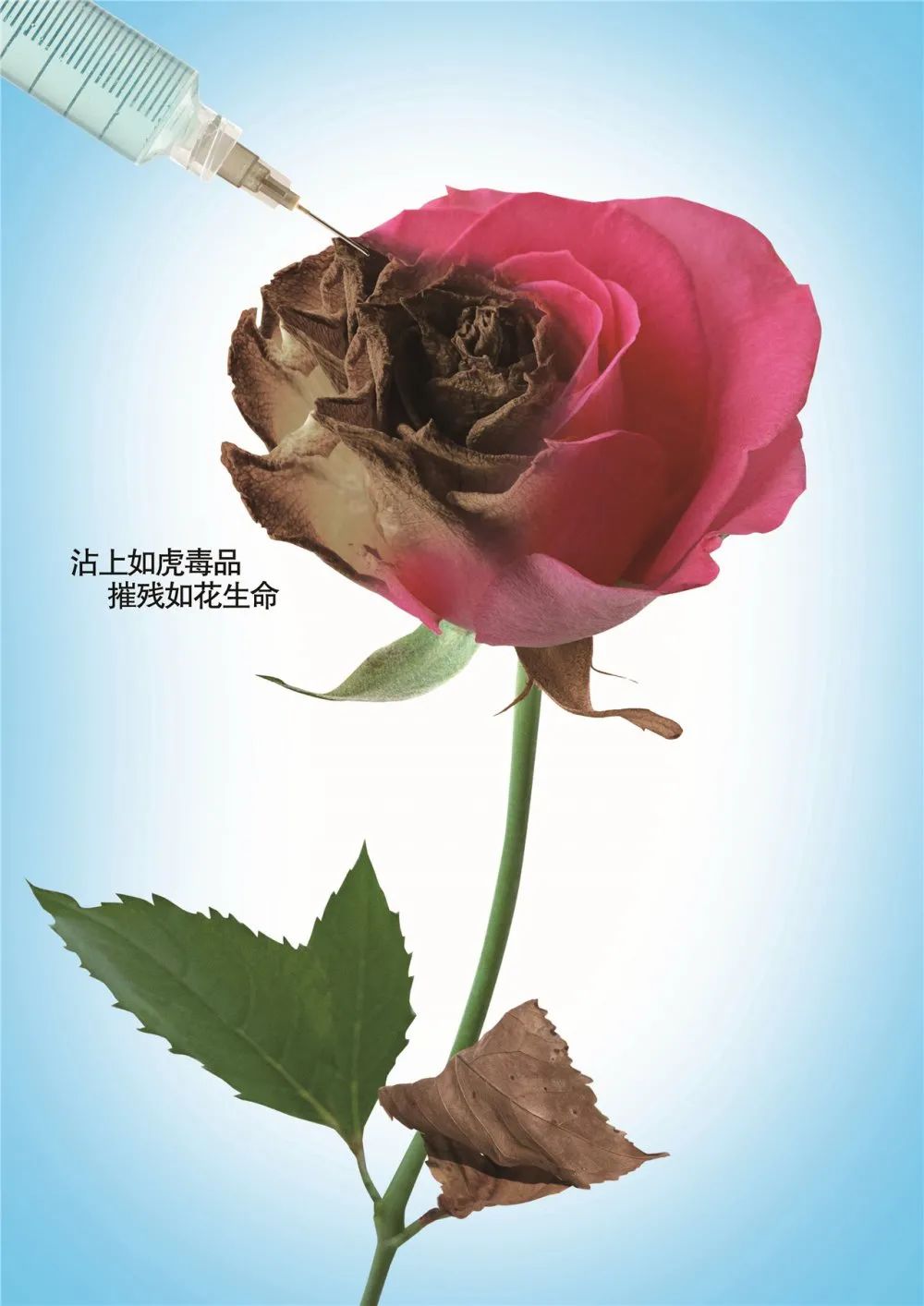 2020年度潮州市禁毒海报及文创产品设计大赛作品展示(三十五) 第11张 2020年度潮州市禁毒海报及文创产品设计大赛作品展示(三十五) 第11张