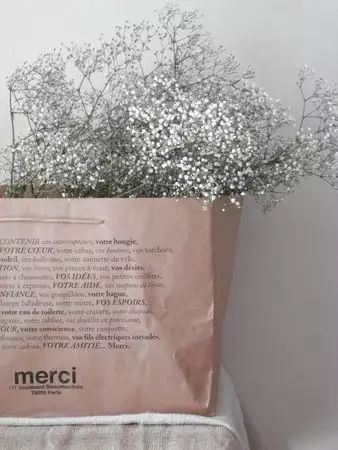 牛皮纸袋这么一套,绿萝都变洋气了 第8张 牛皮纸袋这么一套,绿萝都变洋气了 第8张