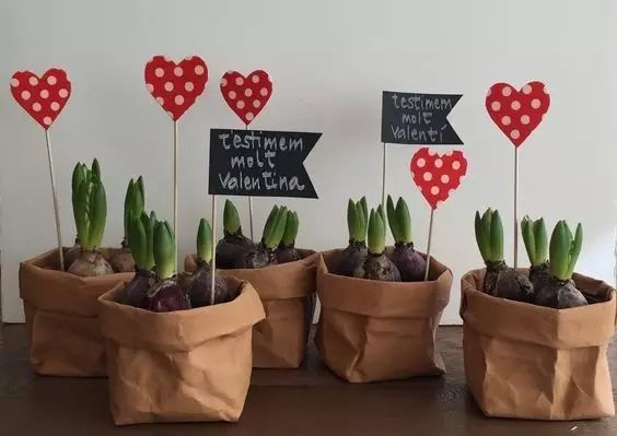 牛皮纸袋这么一套,绿萝都变洋气了 第11张 牛皮纸袋这么一套,绿萝都变洋气了 第11张