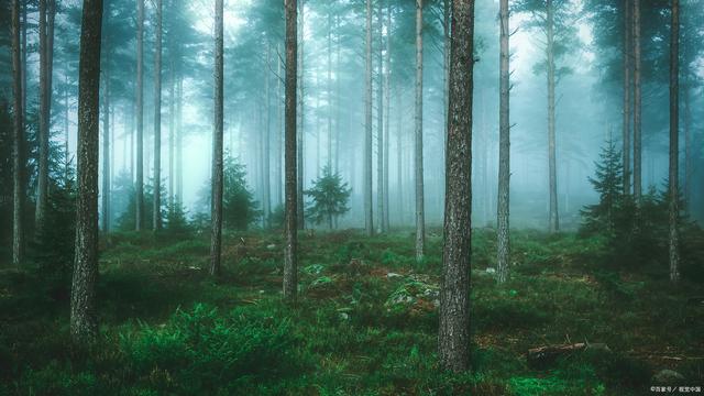 牛皮纸袋为企业和社会带来的巨大好处 第3张 牛皮纸袋为企业和社会带来的巨大好处 第3张