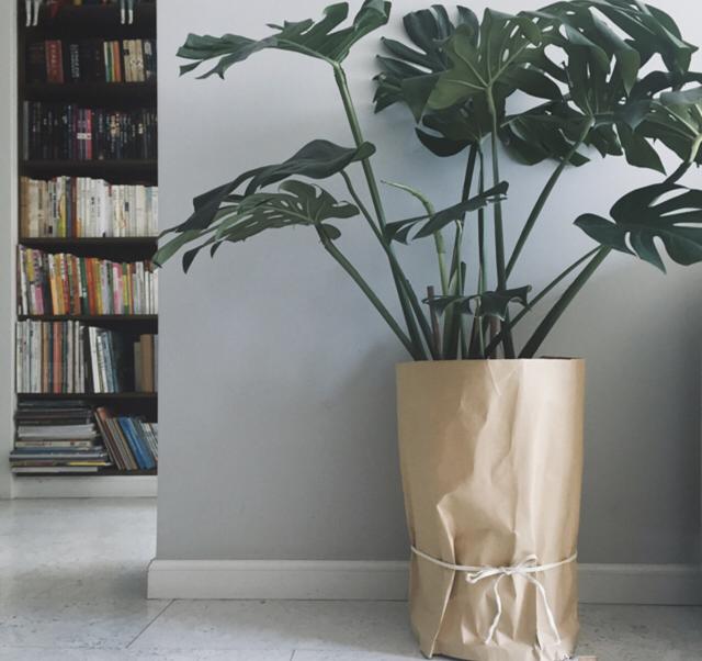 不得不说,用牛皮纸袋收纳真的太可了! 第11张 不得不说,用牛皮纸袋收纳真的太可了! 第11张