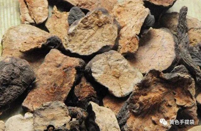 肾不好的男人,不妨常吃这4样“食物”,滋阳补肾,养肾护肾! 第2张 肾不好的男人,不妨常吃这4样“食物”,滋阳补肾,养肾护肾! 第2张