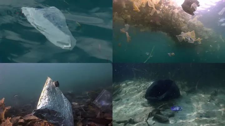 环保科普|塑料袋和纸袋,哪个更环保? 第2张 环保科普|塑料袋和纸袋,哪个更环保? 第2张