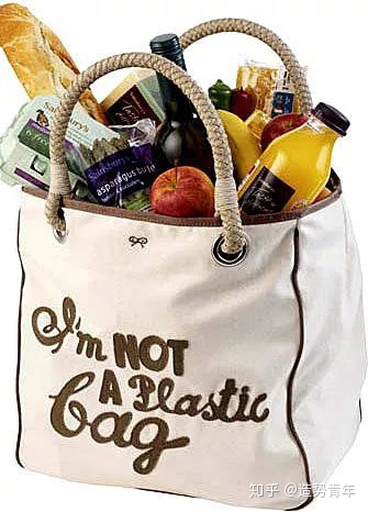 环保袋:你用它的方式,可能很不环保 第2张 环保袋:你用它的方式,可能很不环保 第2张
