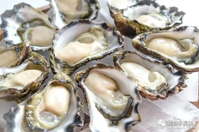 肾不好的男人,不妨常吃这4样“食物”,滋阳补肾,养肾护肾!  第5张 肾不好的男人,不妨常吃这4样“食物”,滋阳补肾,养肾护肾!  第5张