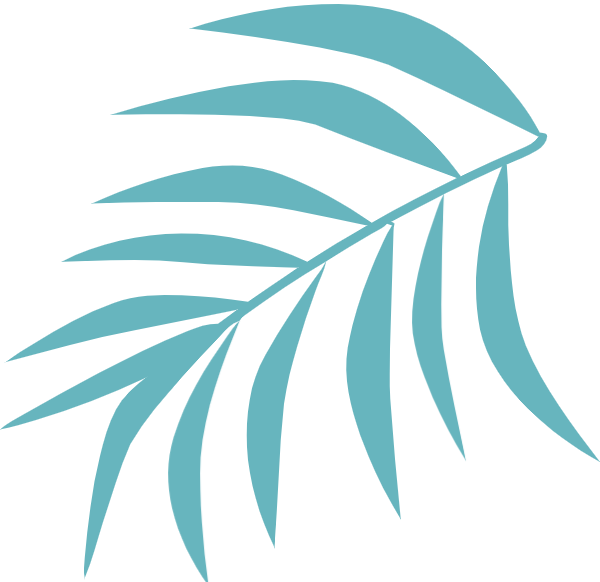 【环保科普】纸袋真的比塑料袋环保?答案出乎意料  第2张 【环保科普】纸袋真的比塑料袋环保?答案出乎意料  第2张