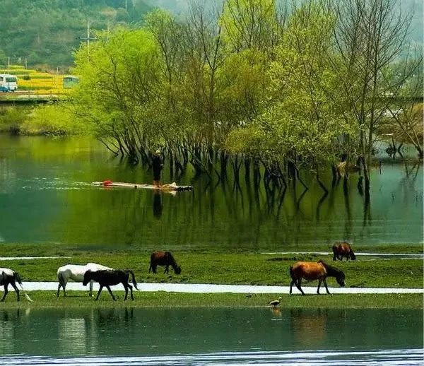 纸袋真的比塑料袋更环保吗?  第7张 纸袋真的比塑料袋更环保吗?  第7张