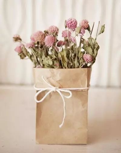 牛皮纸袋这么一套,绿萝都变洋气了  第7张 牛皮纸袋这么一套,绿萝都变洋气了  第7张