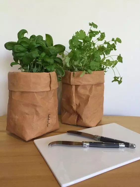 牛皮纸袋这么一套,绿萝都变洋气了  第9张 牛皮纸袋这么一套,绿萝都变洋气了  第9张