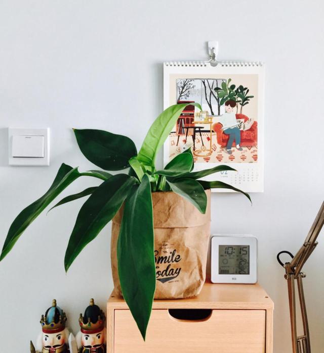 不得不说,用牛皮纸袋收纳真的太可了!  第12张 不得不说,用牛皮纸袋收纳真的太可了!  第12张