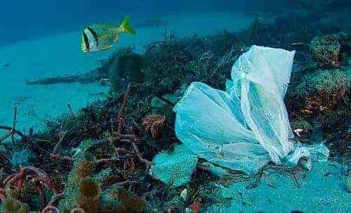 环保科普 | 为什么要禁塑、限塑？ 第3张