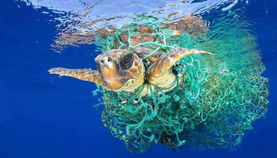 环保科普 | 为什么要禁塑、限塑？ 第9张