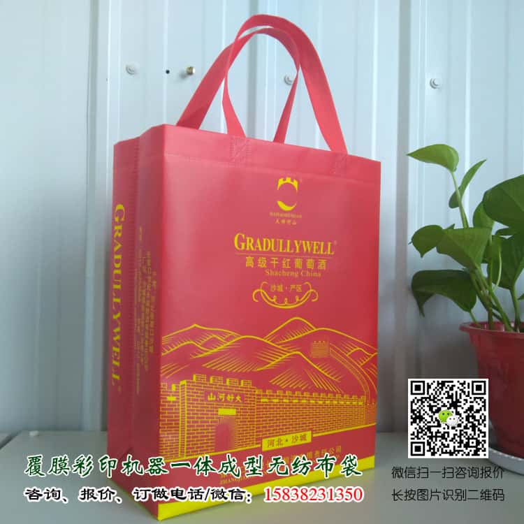 彩印一次成型袋厂家订做 电话/微信15838231350