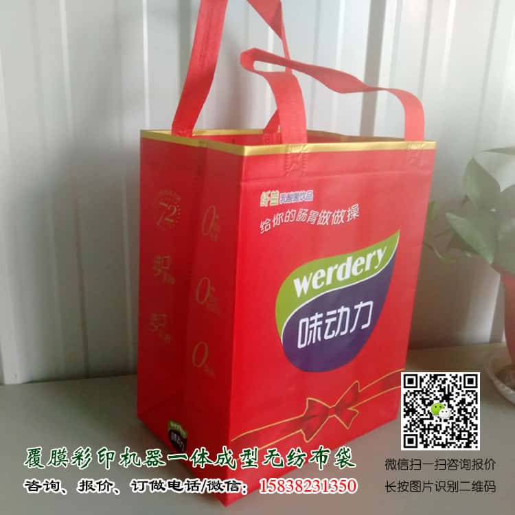 彩印一次成型袋厂家订做 电话/微信15838231350  第3张