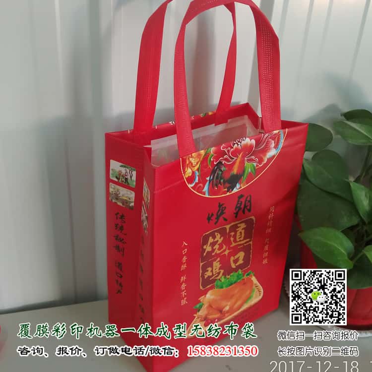 彩印一次成型袋厂家订做 电话/微信15838231350  第4张