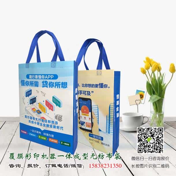 禁塑令开始后 禁塑替代品无纺布袋价格便宜吗？  第3张