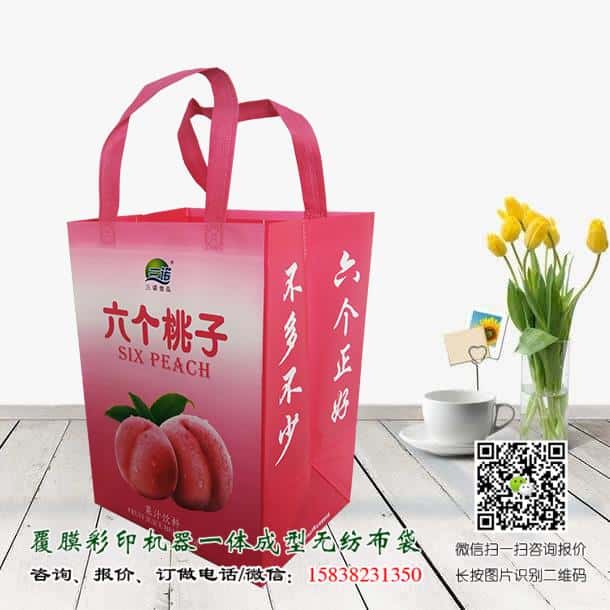 禁塑令开始后 禁塑替代品无纺布袋价格便宜吗？  第2张