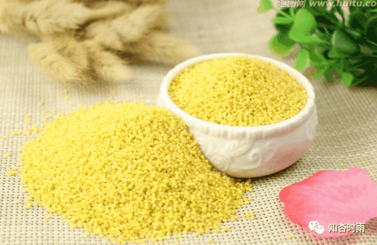小米袋_一用就会爱上的拍打神器  第8张