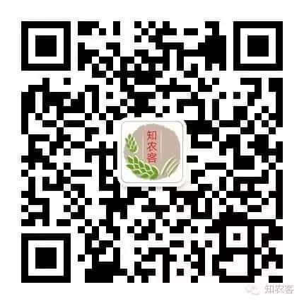 山区留守老人黄小米销路难,紧急求援,让我们一起转发,给他们多一份希望.  第12张