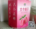 饮料无纺布袋订制