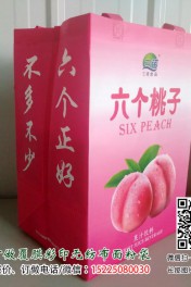 饮料无纺布袋订制