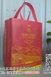 河南信阳无纺布袋酒袋定做