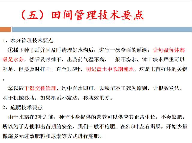 9.png 技术文章：水稻无纺布钵苗育秧技术  第9张