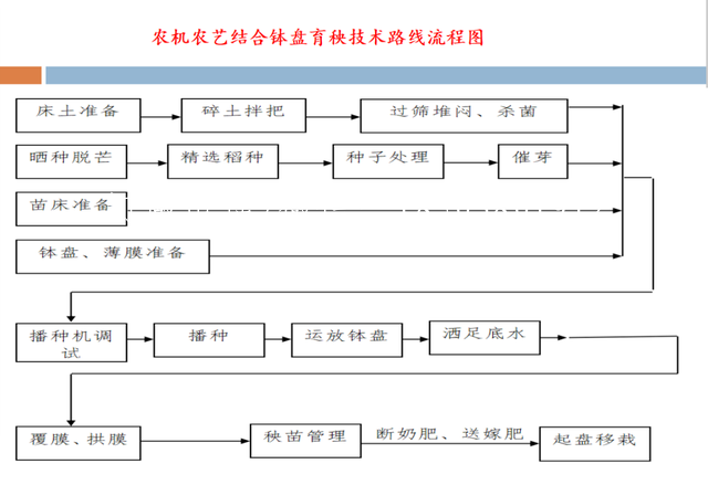 11.png 技术文章：水稻无纺布钵苗育秧技术  第11张