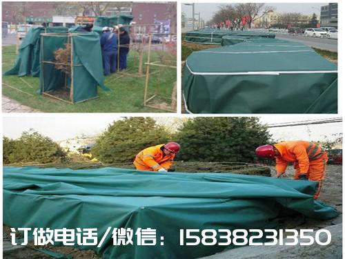 冬天来了 气温降低 植物保温需要用防寒布了