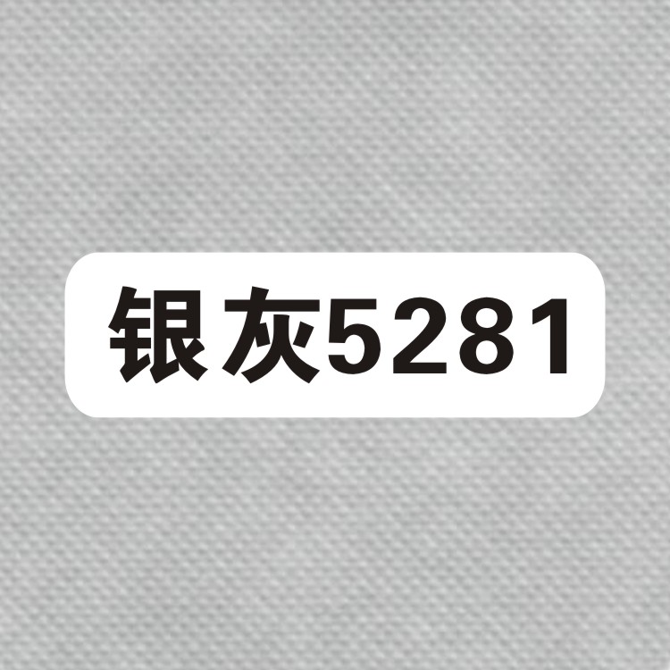 【无纺布色卡】银灰5281