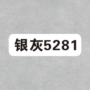 【无纺布色卡】银灰5281