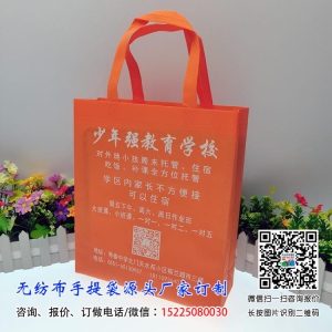 丝印一体成型无纺布袋1000条起订