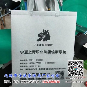 <strong>丝网印刷一次成型手提袋</strong>